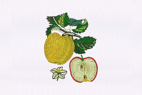 Apple and Half Apple Embroidery Design Review