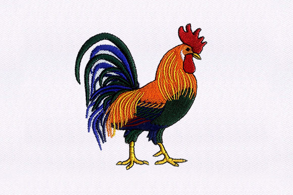 Brahma Chicken: A Heartwarming Embroidery Design for Personalized Gifts