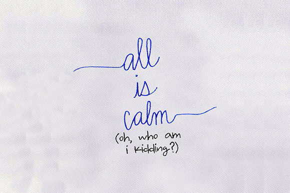 Funny Saying Embroidery Design Review for Handmade Gifts