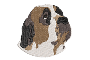 Realistic Saint Bernard Embroidery Design Review